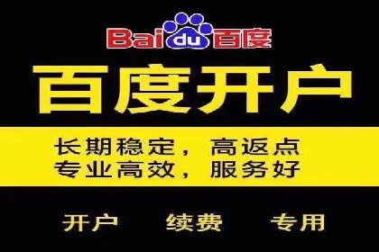 百度推广成功案例：关键词排名快速提升